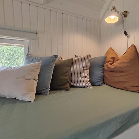 Tranum Klit Camping Og Hytteudlejning Brovst Exterior photo